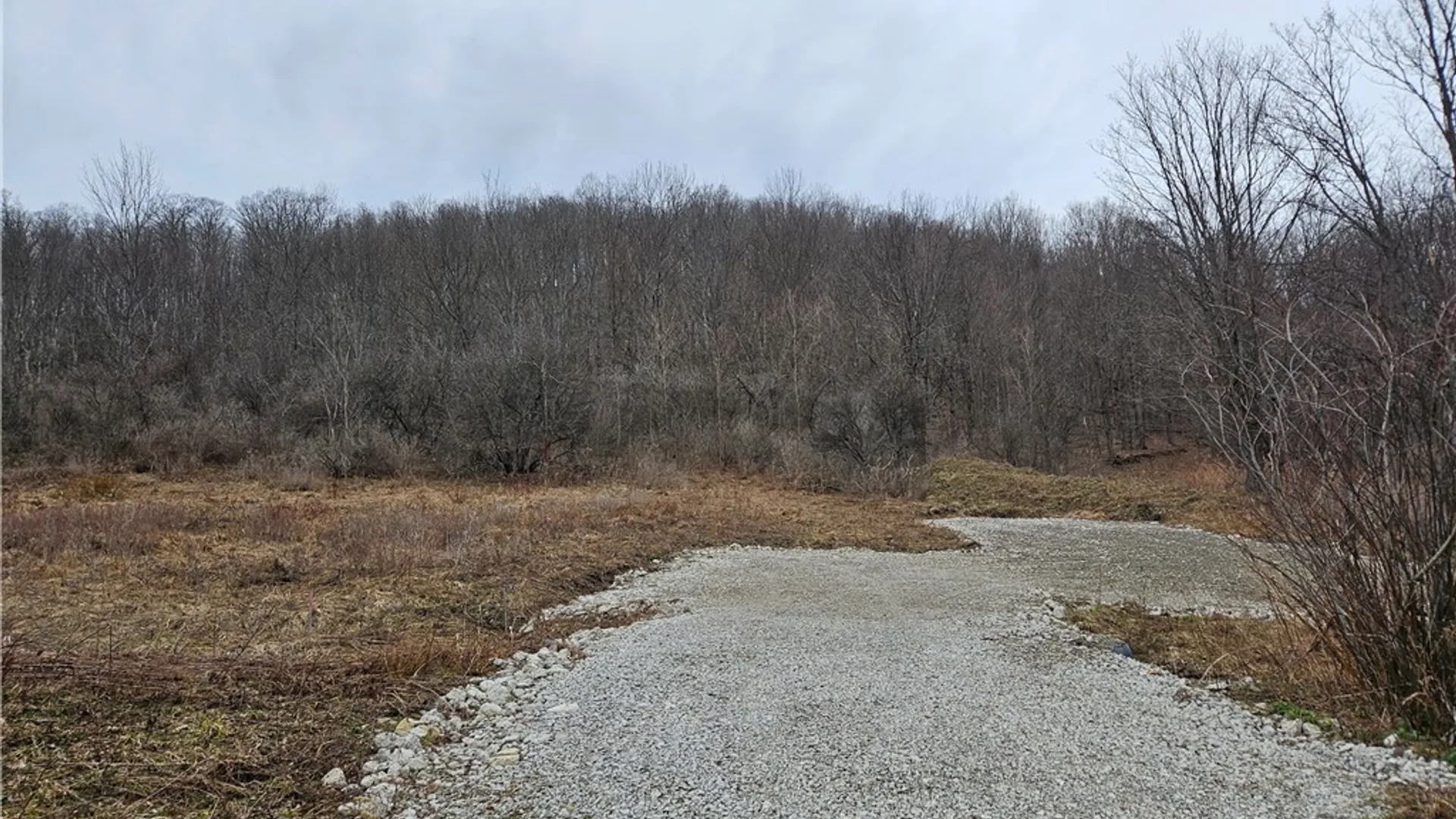 Property at 6048 NYS RTE 242 E, Ellicottville, NY 14731 5