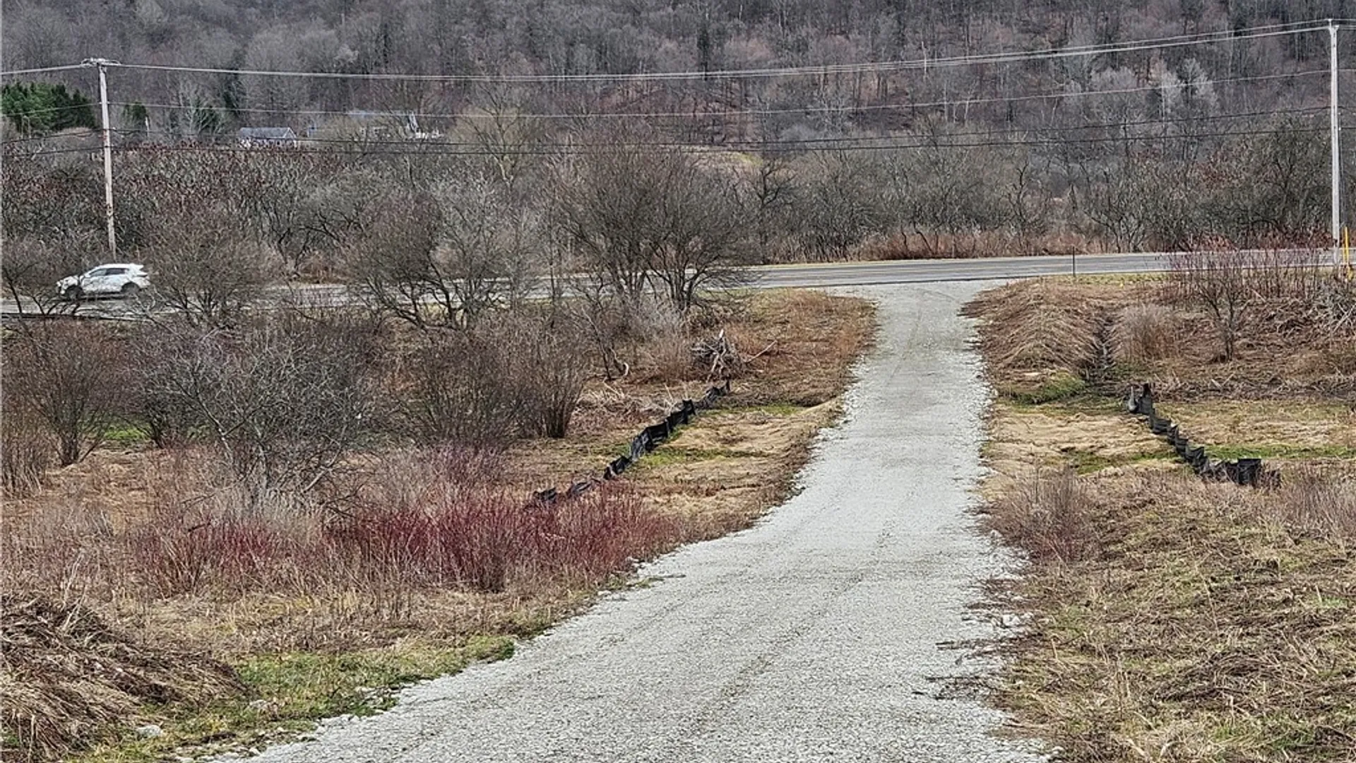 Property at 6048 NYS RTE 242 E, Ellicottville, NY 14731 3
