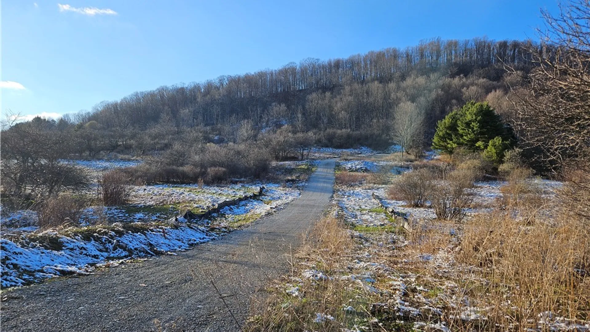 Property at 6048 NYS RTE 242 E, Ellicottville, NY 14731 4