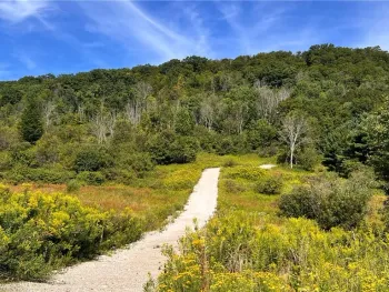 Property at 6048 NYS RTE 242 E, Ellicottville, NY 14731