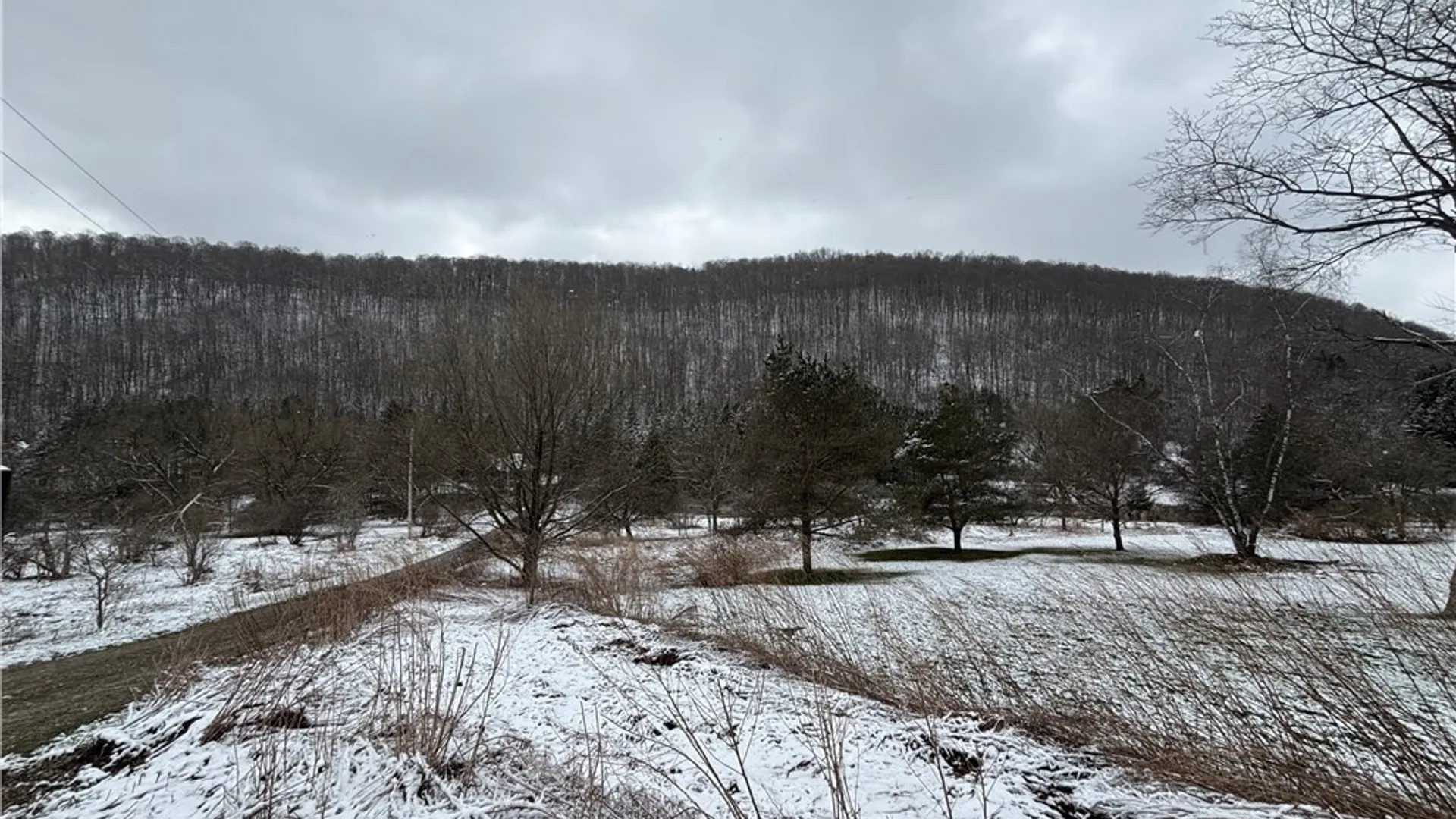 Property at Maples Road, Ellicottville, NY 14731 17
