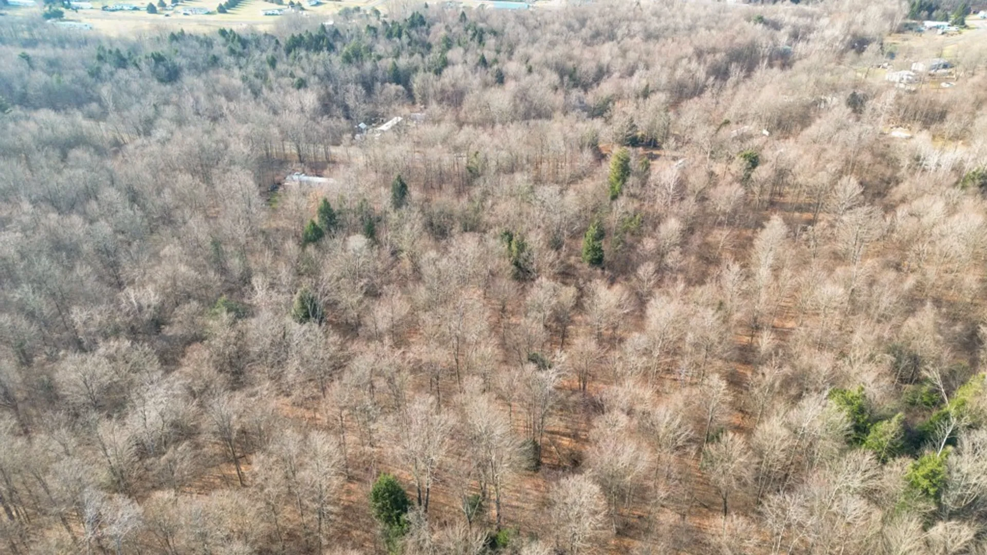 Property at 0 Senior Avenue, Granby, NY 13069 6