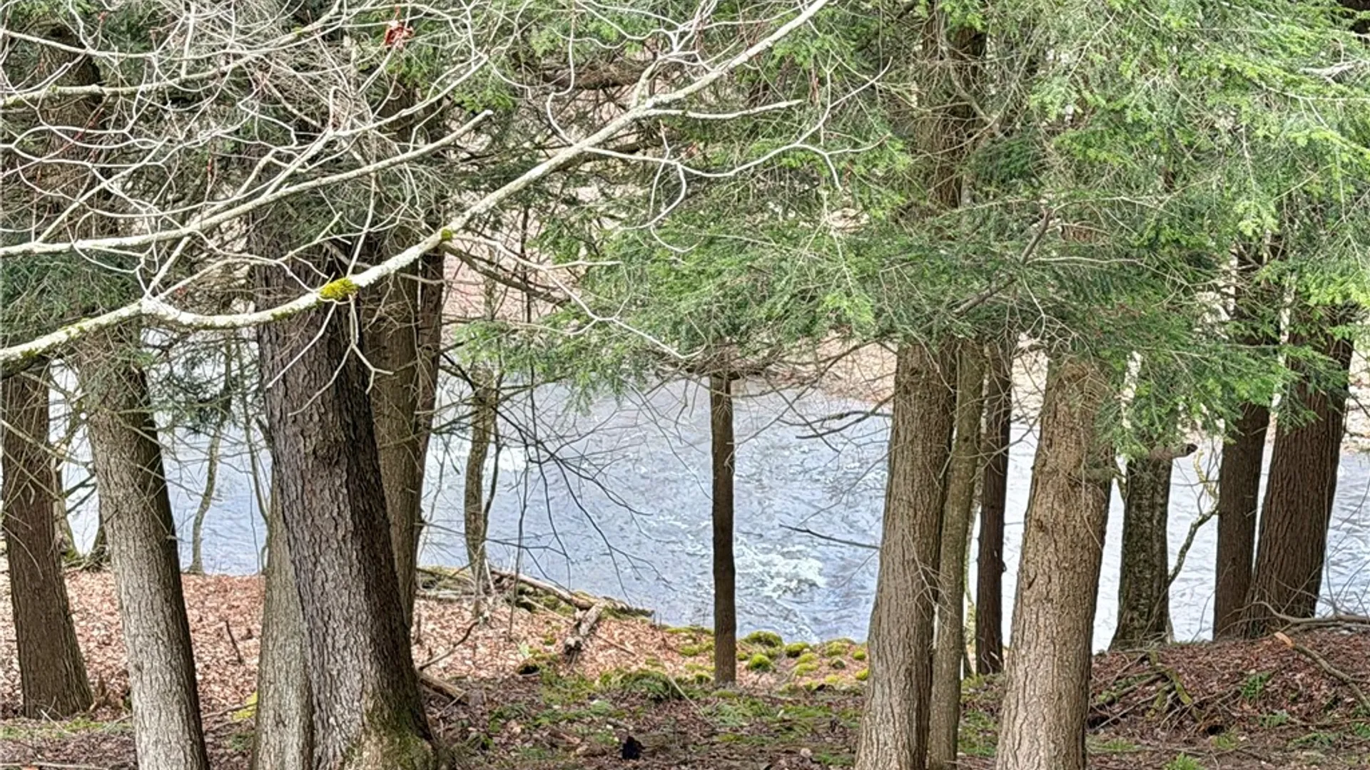 Property at 317 County Road 8, Mc Donough, NY 13801 3