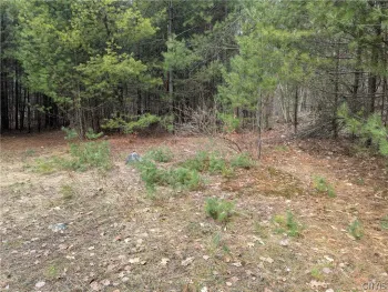 Property at 7131 Maple Drive, Watson, NY 13343