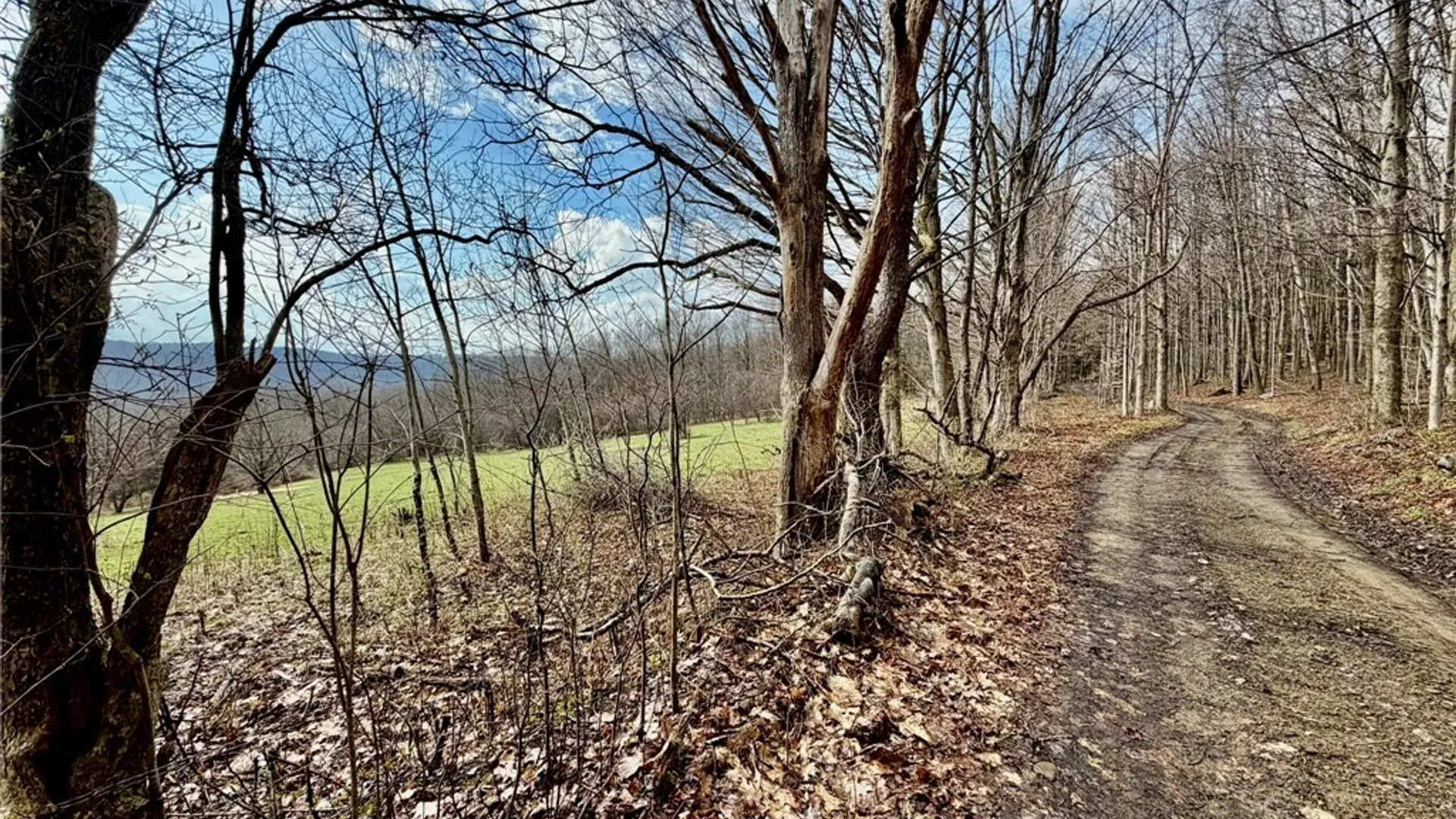 Property at 3640 Gerry Levant Road, Ellicott, NY 14733 28