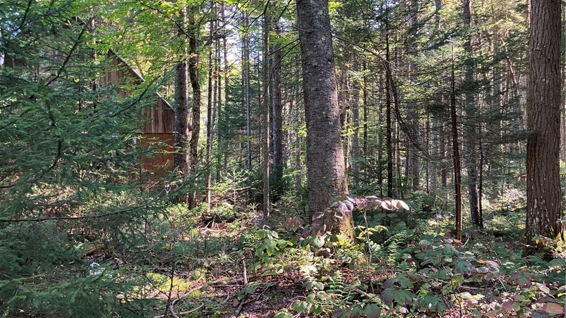 Property at 82 Stock Lane, Inlet, NY 13360 8