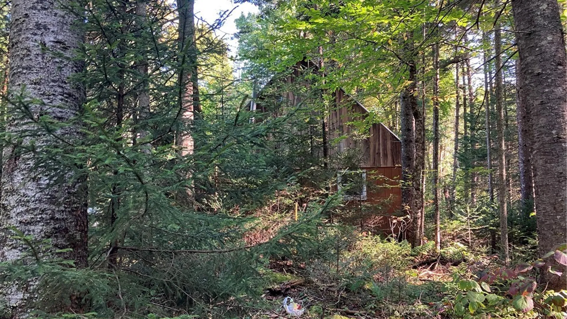 Property at 82 Stock Lane, Inlet, NY 13360 5