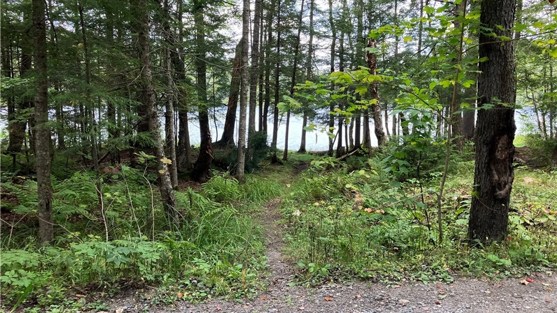 Property at 82 Stock Lane, Inlet, NY 13360 32