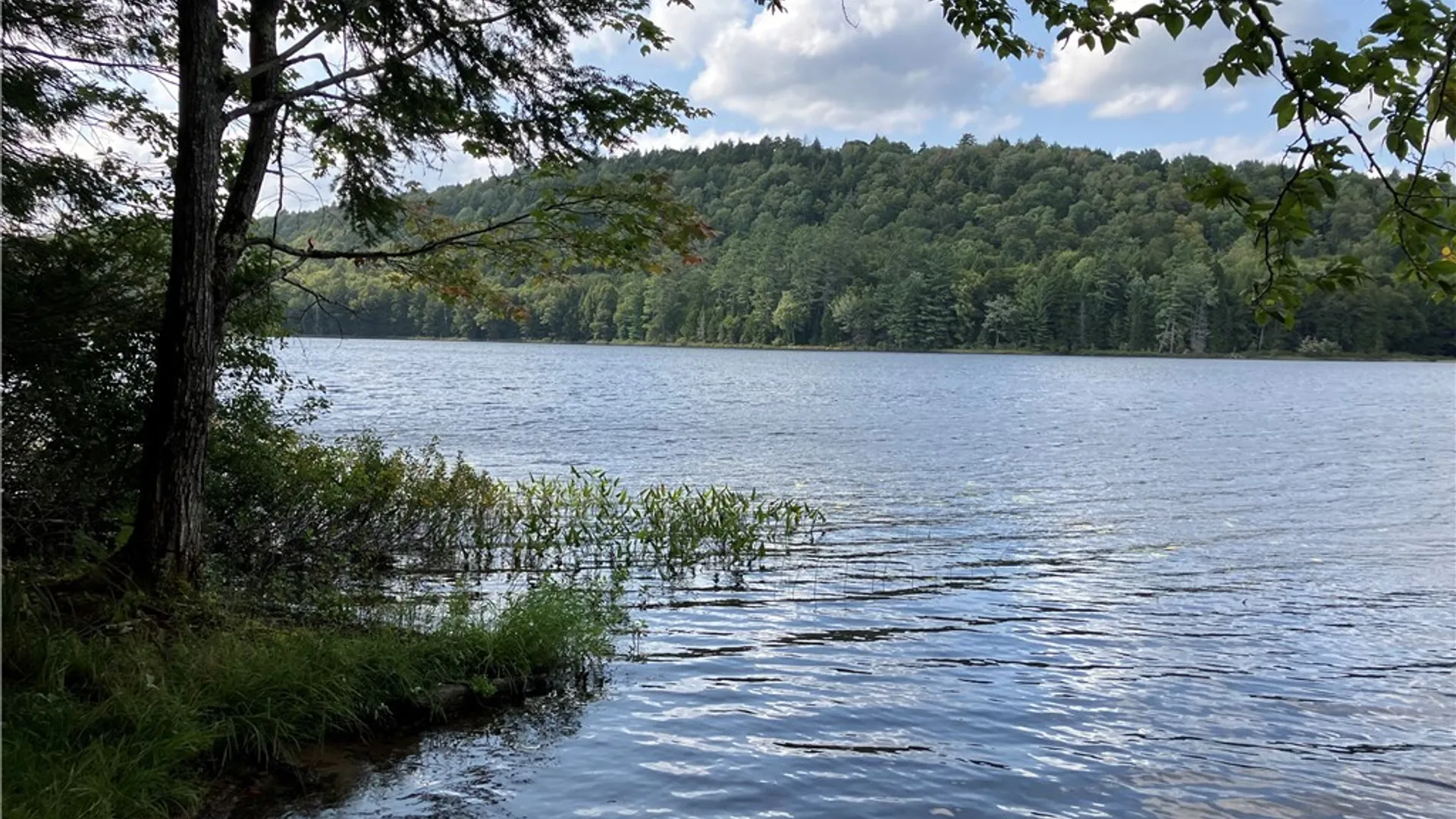 Property at 82 Stock Lane, Inlet, NY 13360 33