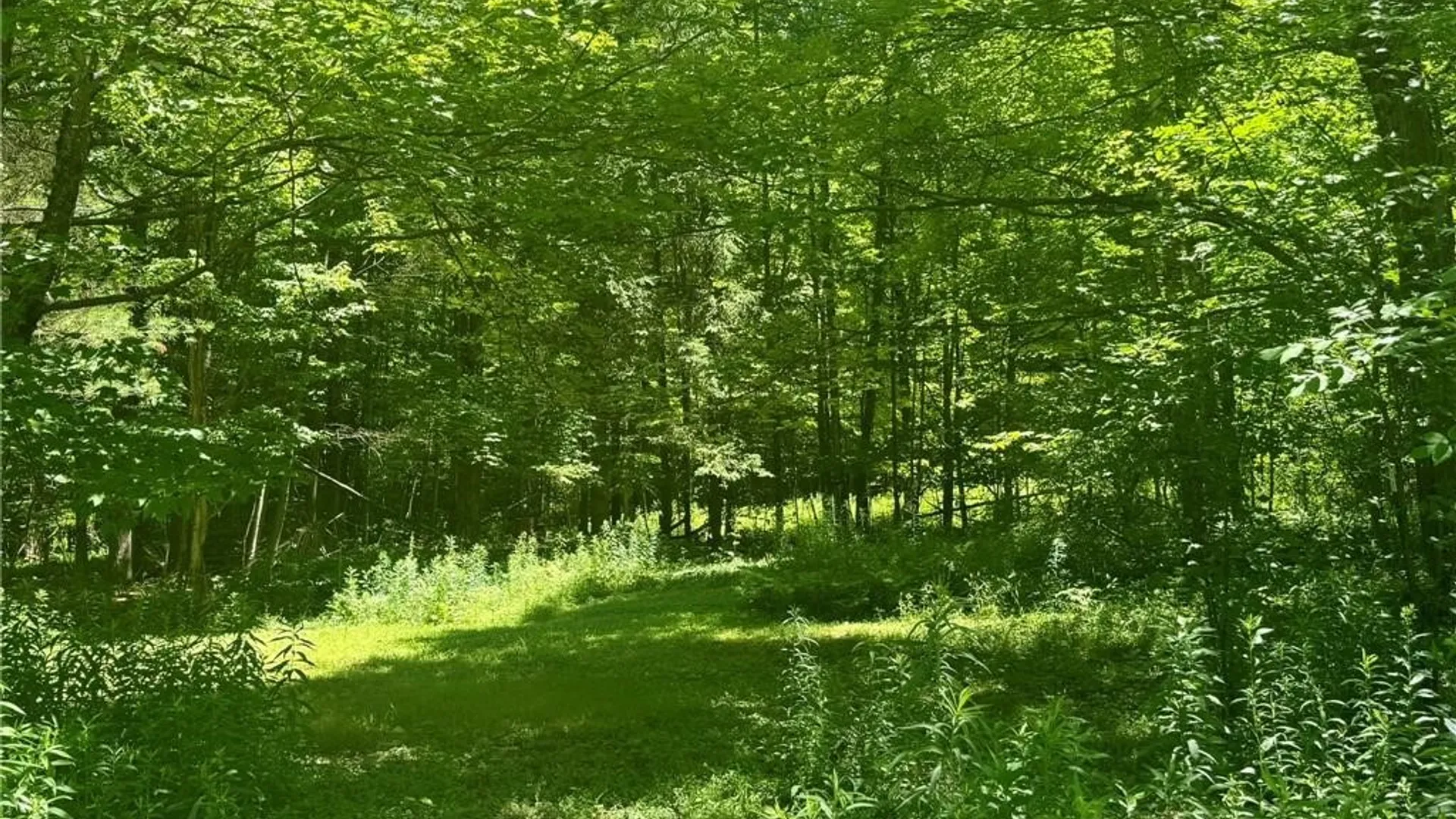 Property at 1136 County Highway 8, Butternuts, NY 13808 15