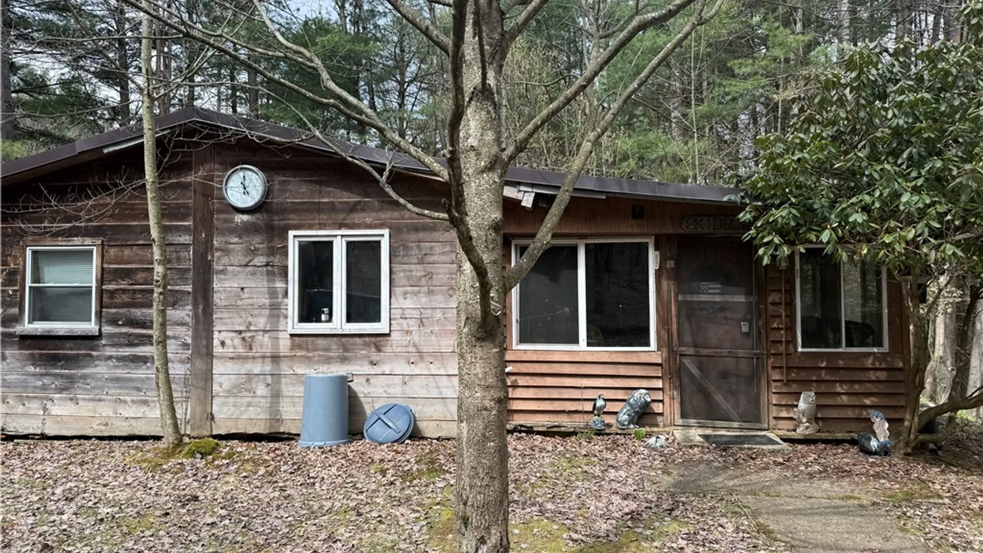 Property at 9675 Lafever Road, Clarksville, NY 14727 3