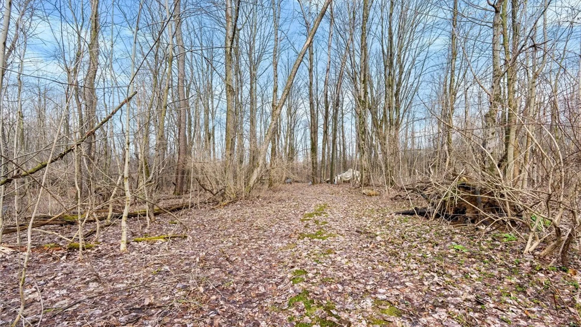 Property at 2883 Cr-87, Ellisburg, NY 13636 21