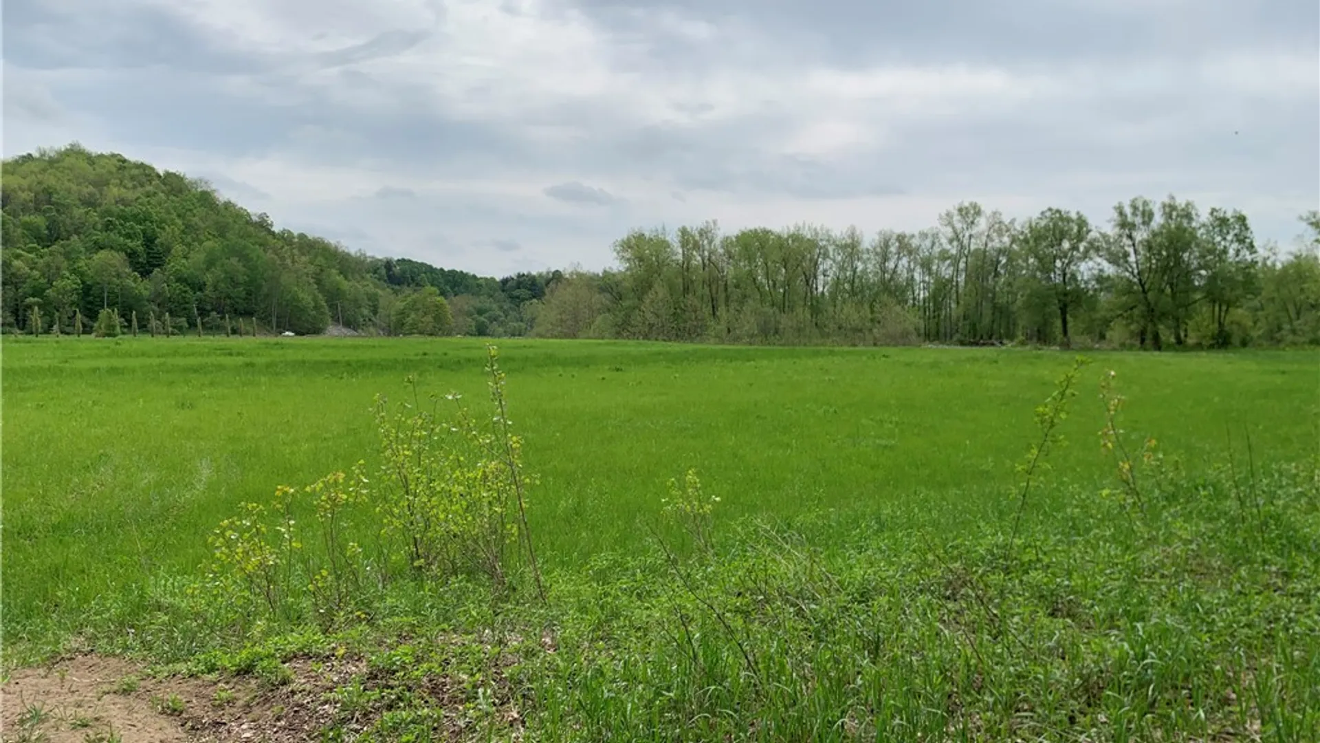 Property at 5675 State Route 28, Newport, NY 13416 18