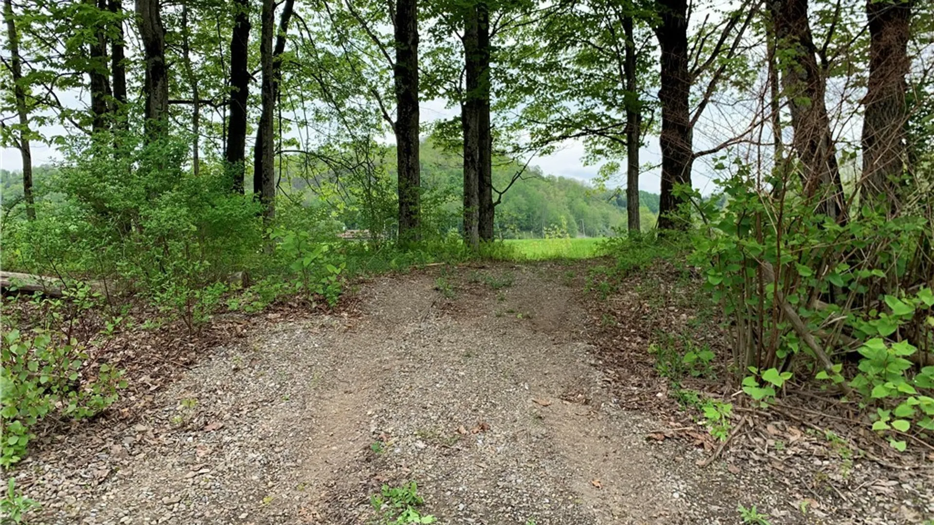 Property at 5675 State Route 28, Newport, NY 13416 19