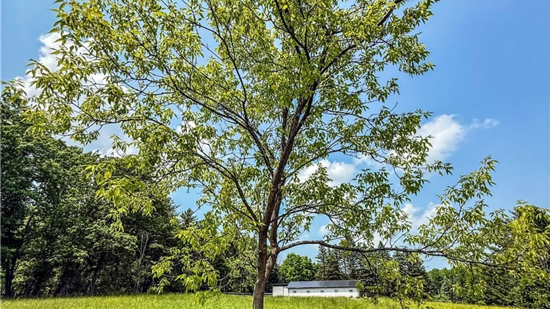 Property at Syossett Drive, Cazenovia, NY 13035 26