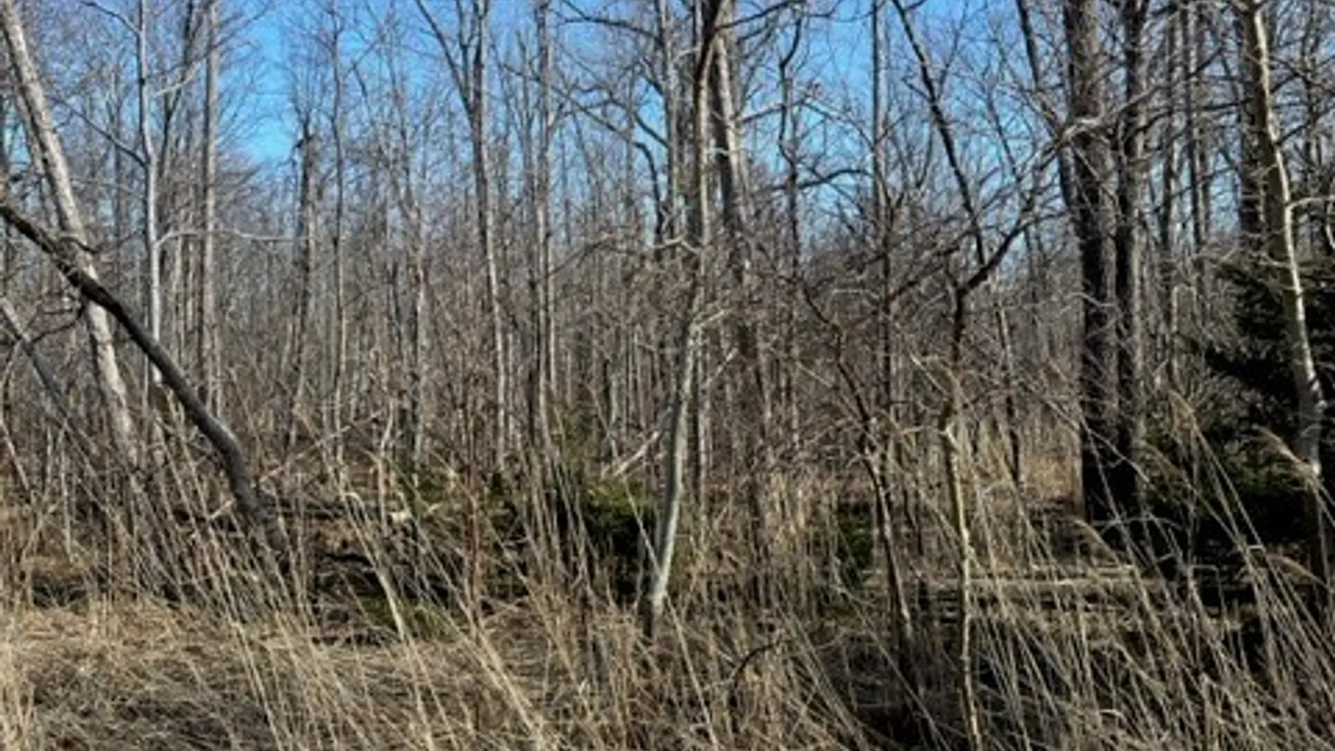 Property at 0 Wilson Avenue, Lancaster, NY 14086 5