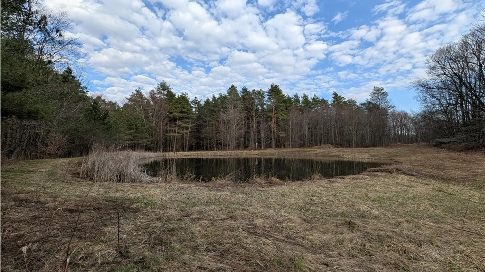 Property at 154 Moon Hill Road, Pharsalia, NY 13801 4