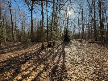 Property at Paradise Road, Palermo, NY 13036