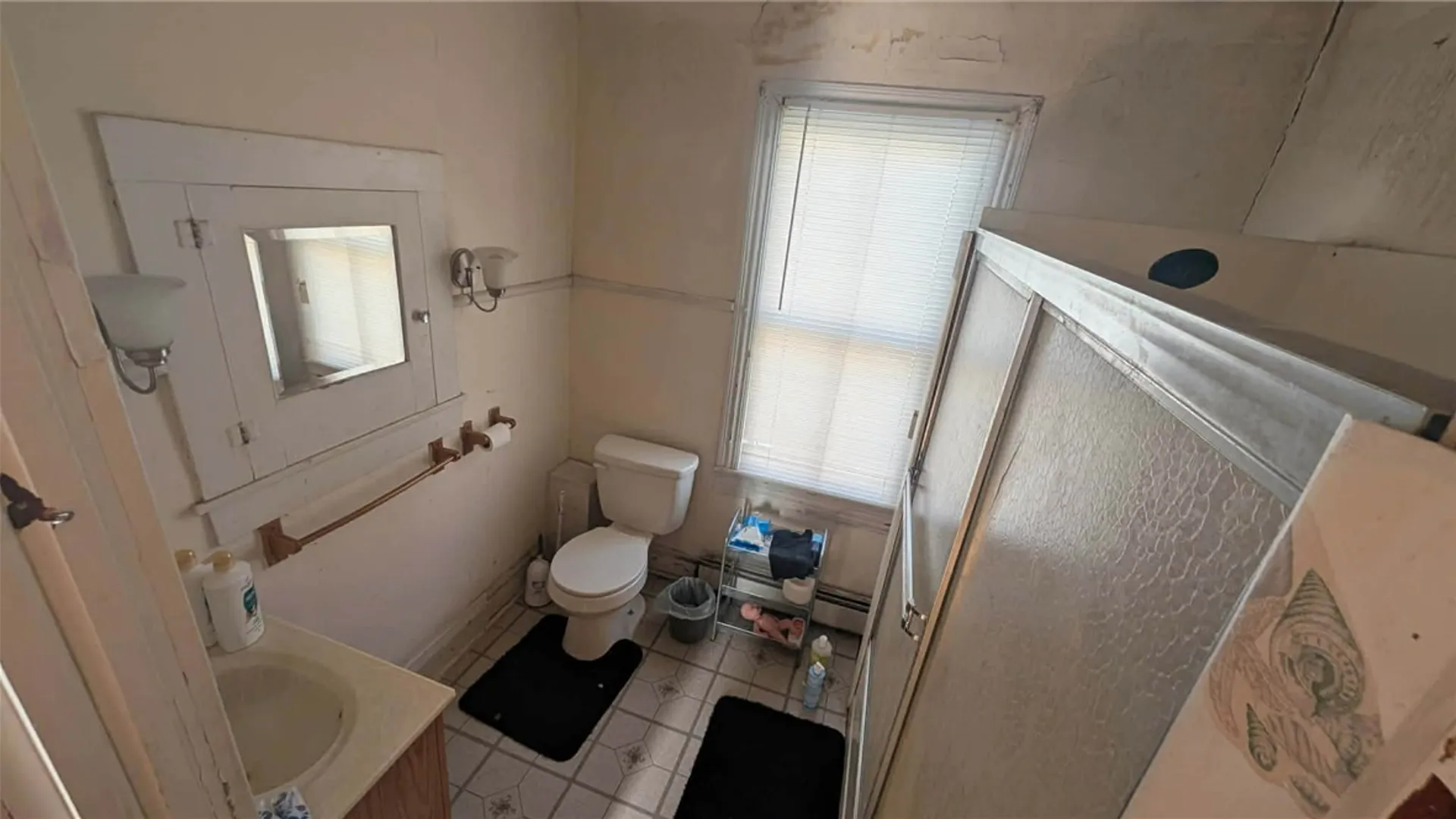 Property at 103 E Williams Street, Waterloo, NY 13165 9