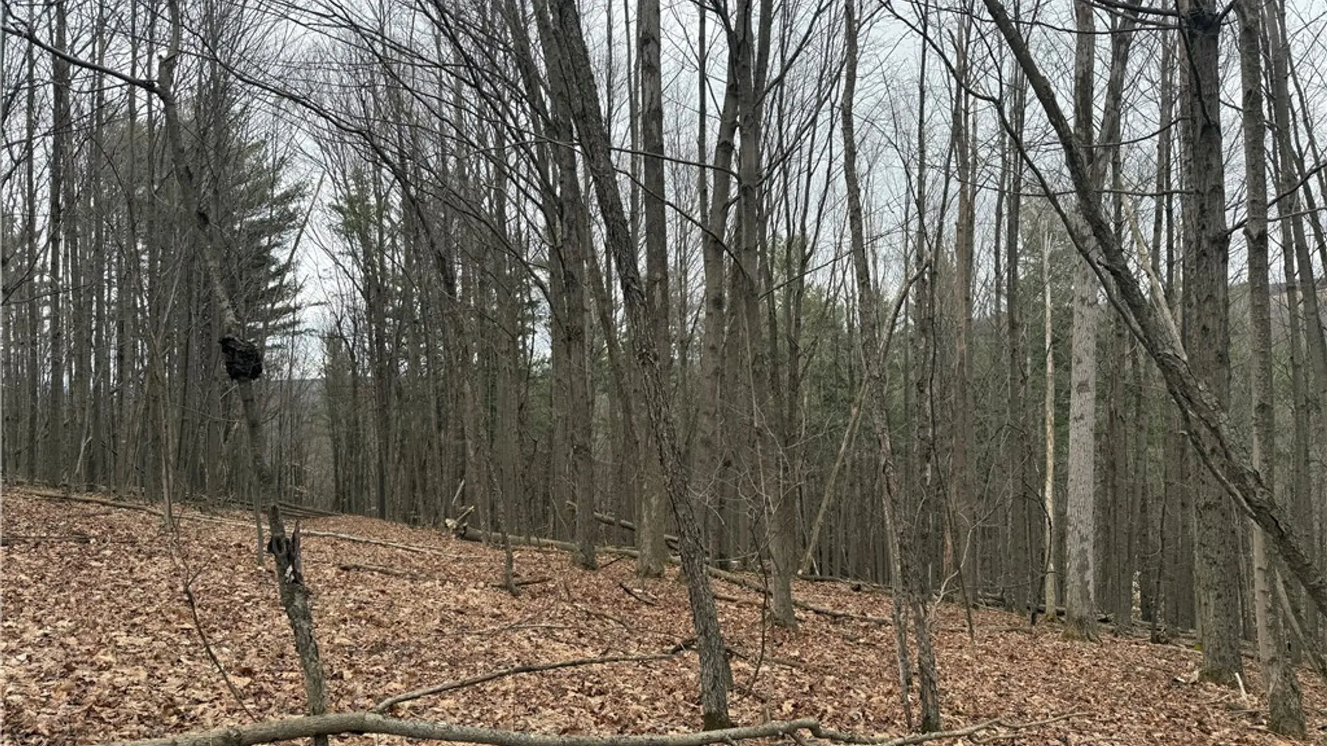 Property at Winding Stair Road, Urbana, NY 14840 4