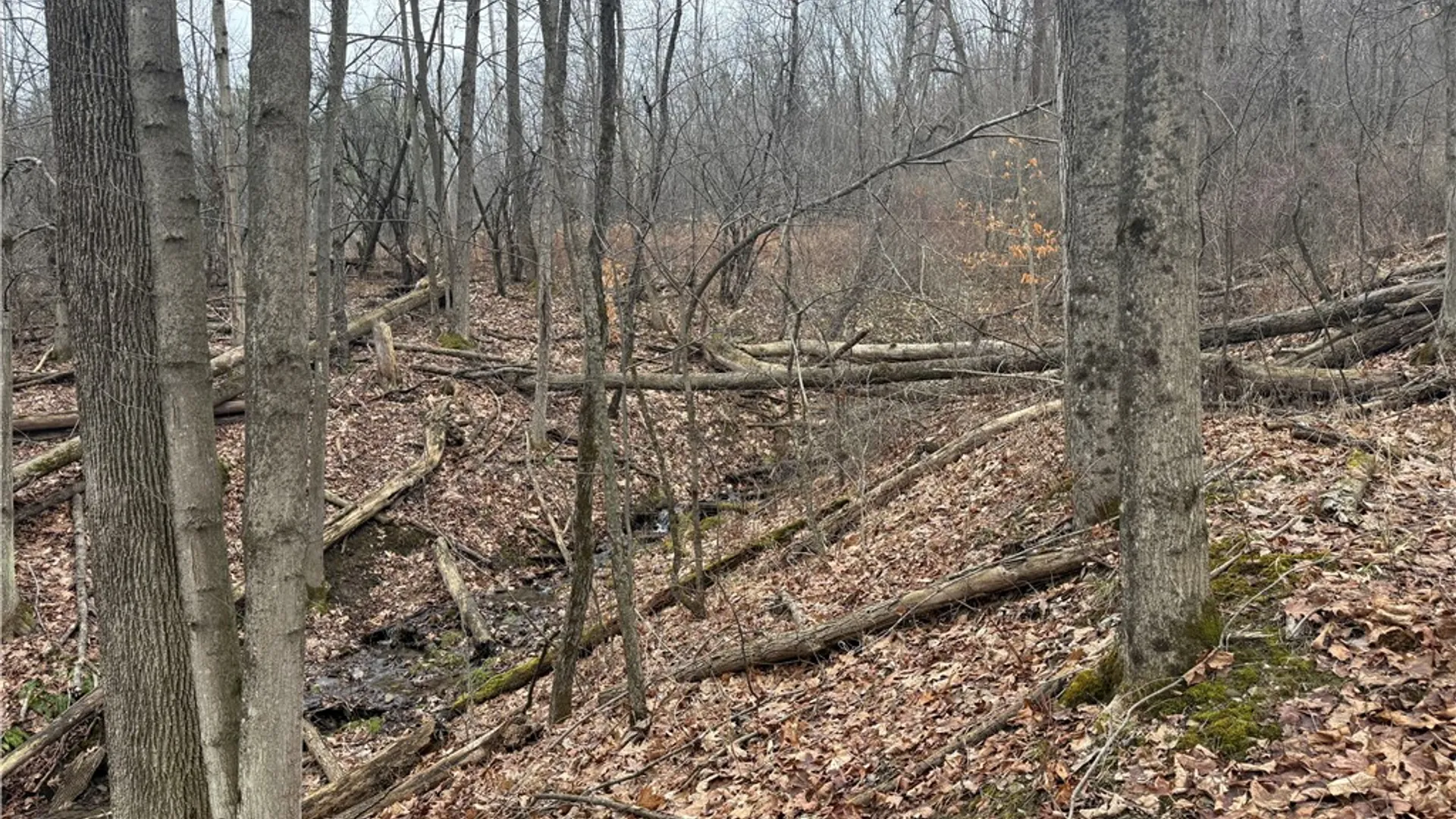 Property at Winding Stair Road, Urbana, NY 14840 6