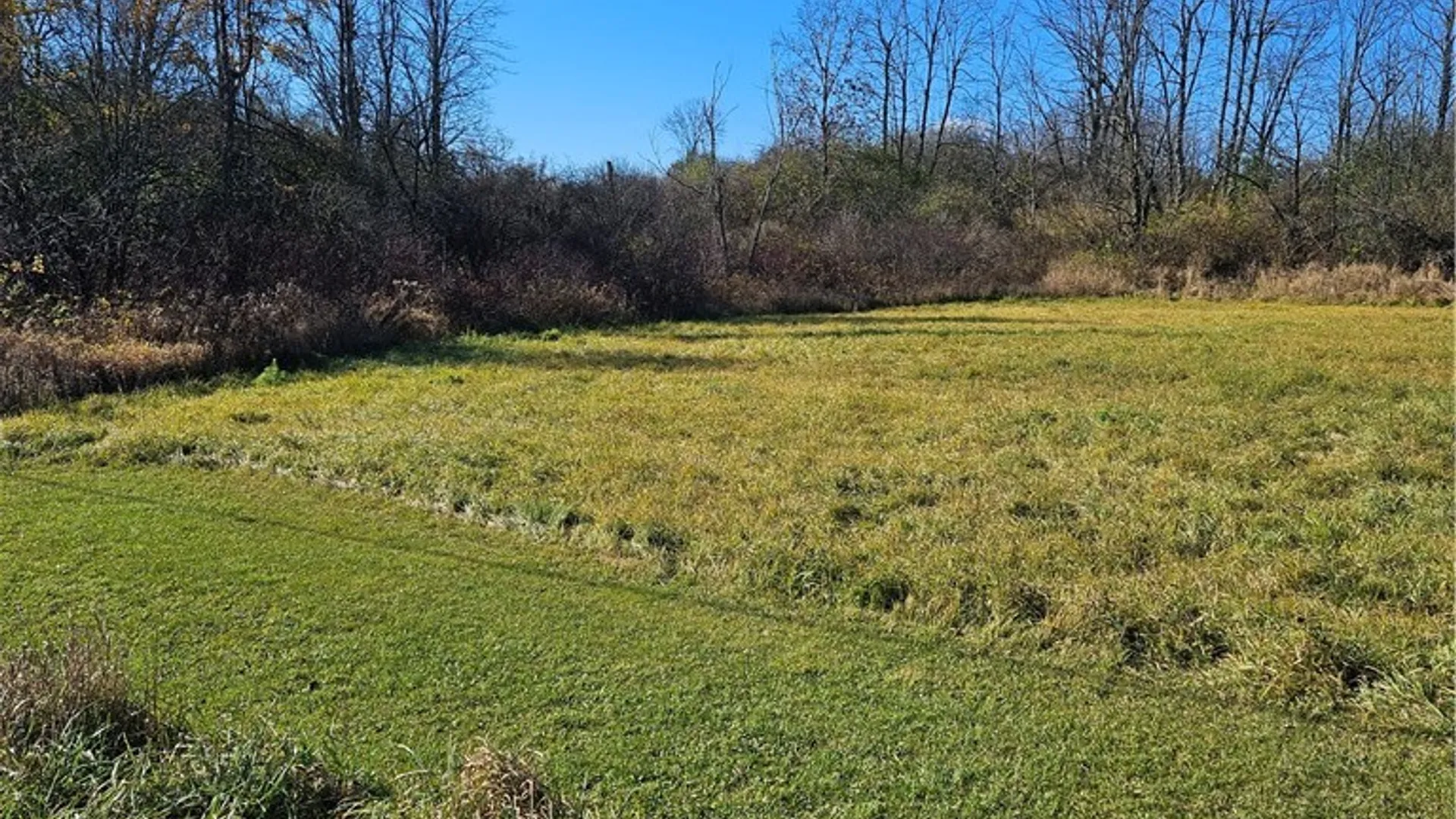 Property at 0000 NYS Rte 180, Orleans, NY 13656 3