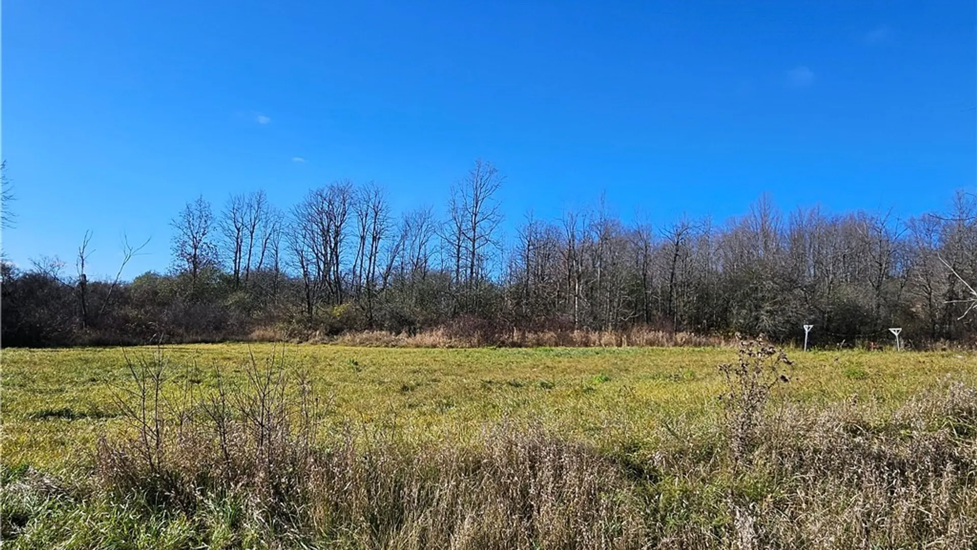 Property at 0000 NYS Rte 180, Orleans, NY 13656 7