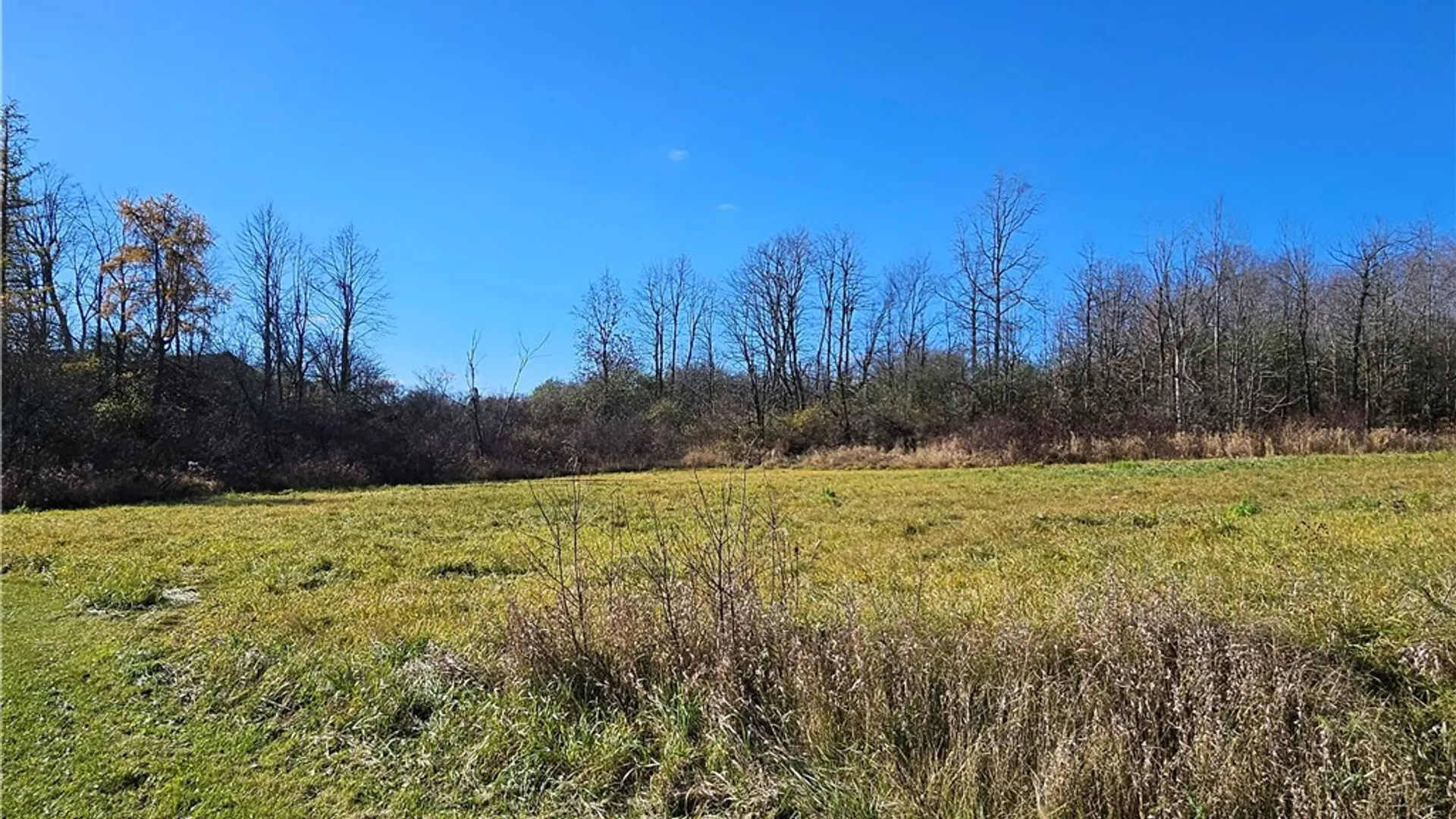 Property at 0000 NYS Rte 180, Orleans, NY 13656 8