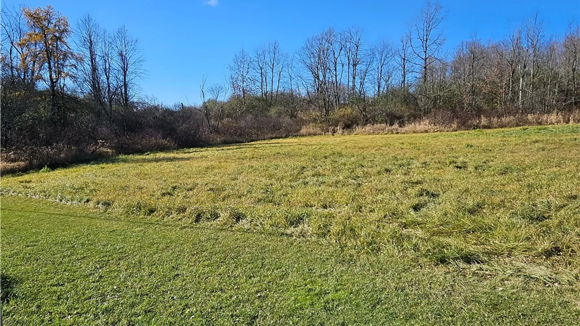 Property at 0000 NYS Rte 180, Orleans, NY 13656 9