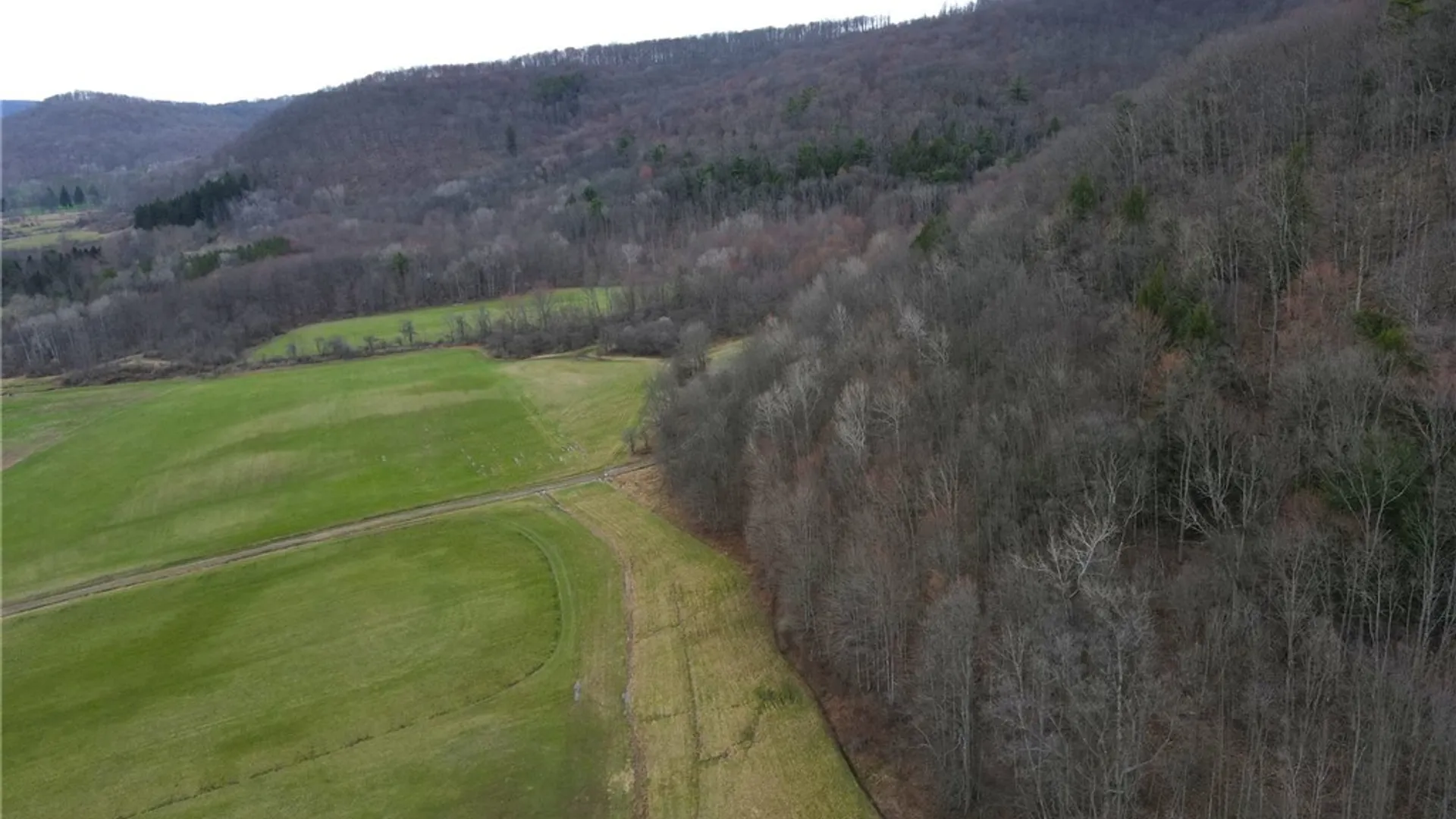 Property at 4444 Route 353, Salamanca, NY 14779 35