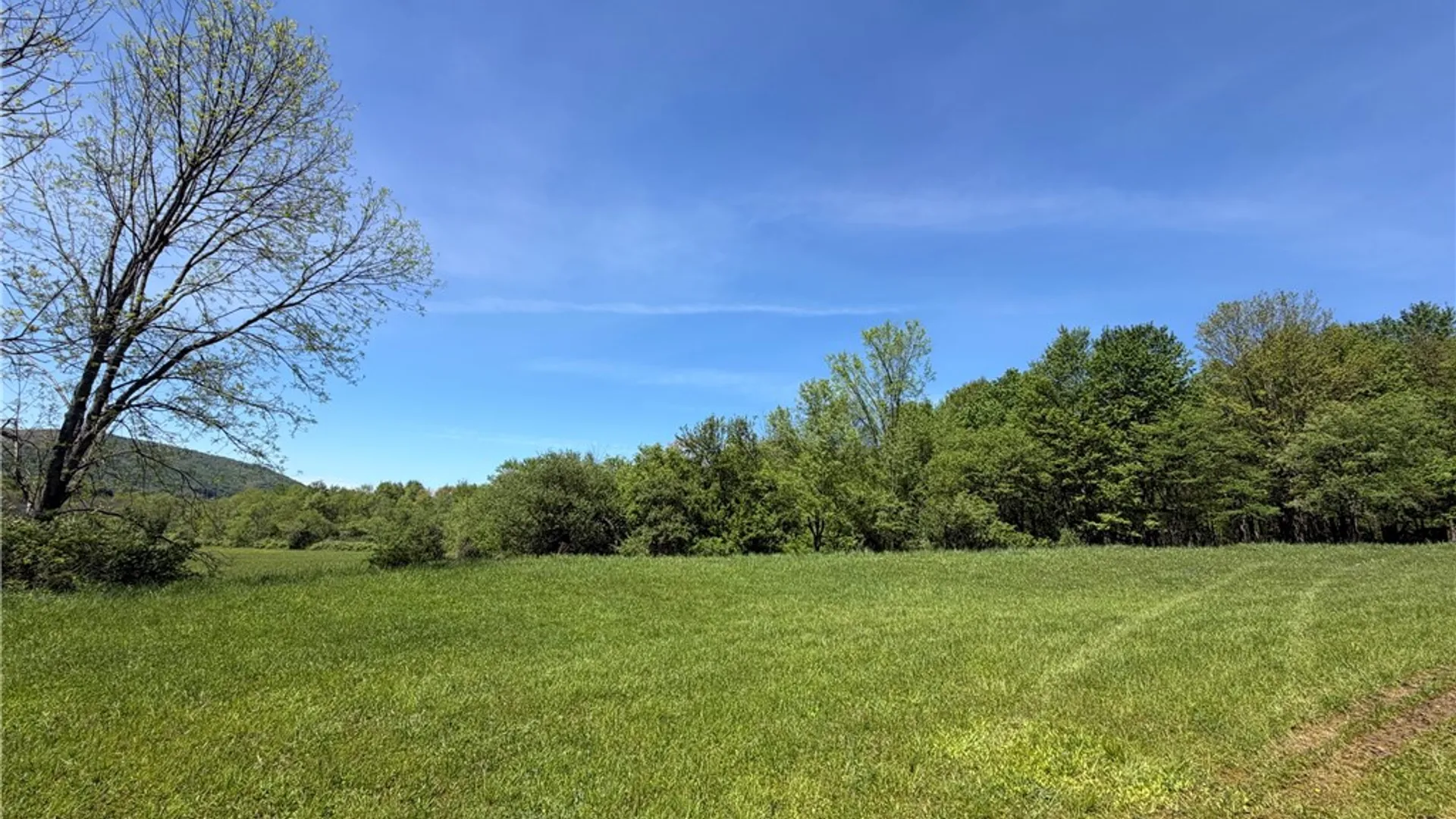 Property at 4444 Route 353, Salamanca, NY 14779 41