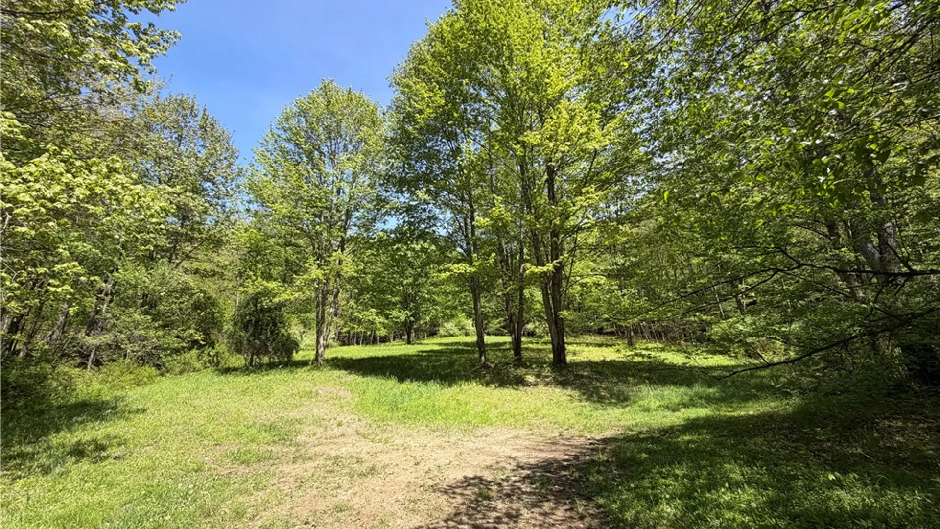 Property at 4444 Route 353, Salamanca, NY 14779 45