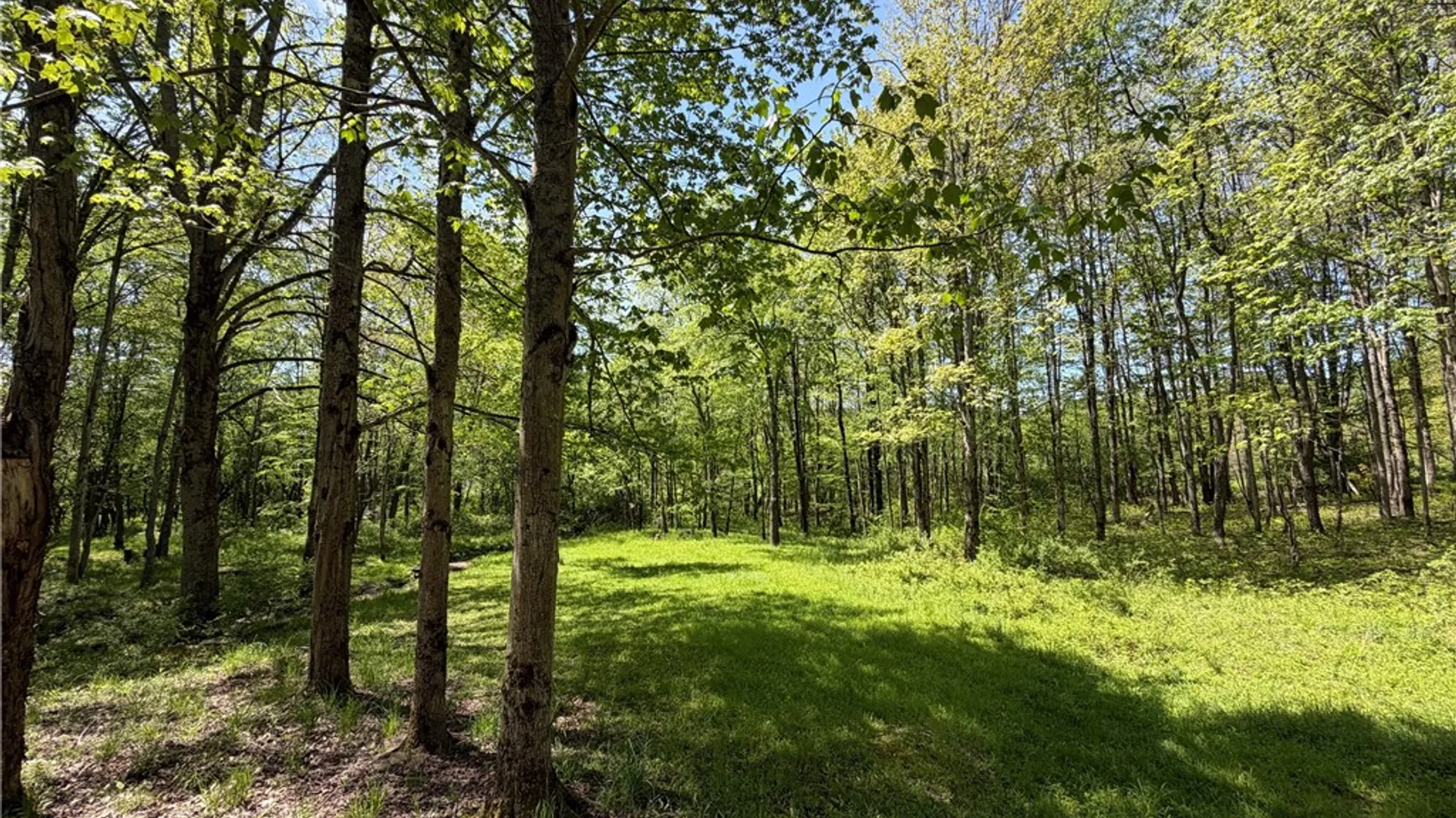 Property at 4444 Route 353, Salamanca, NY 14779 46