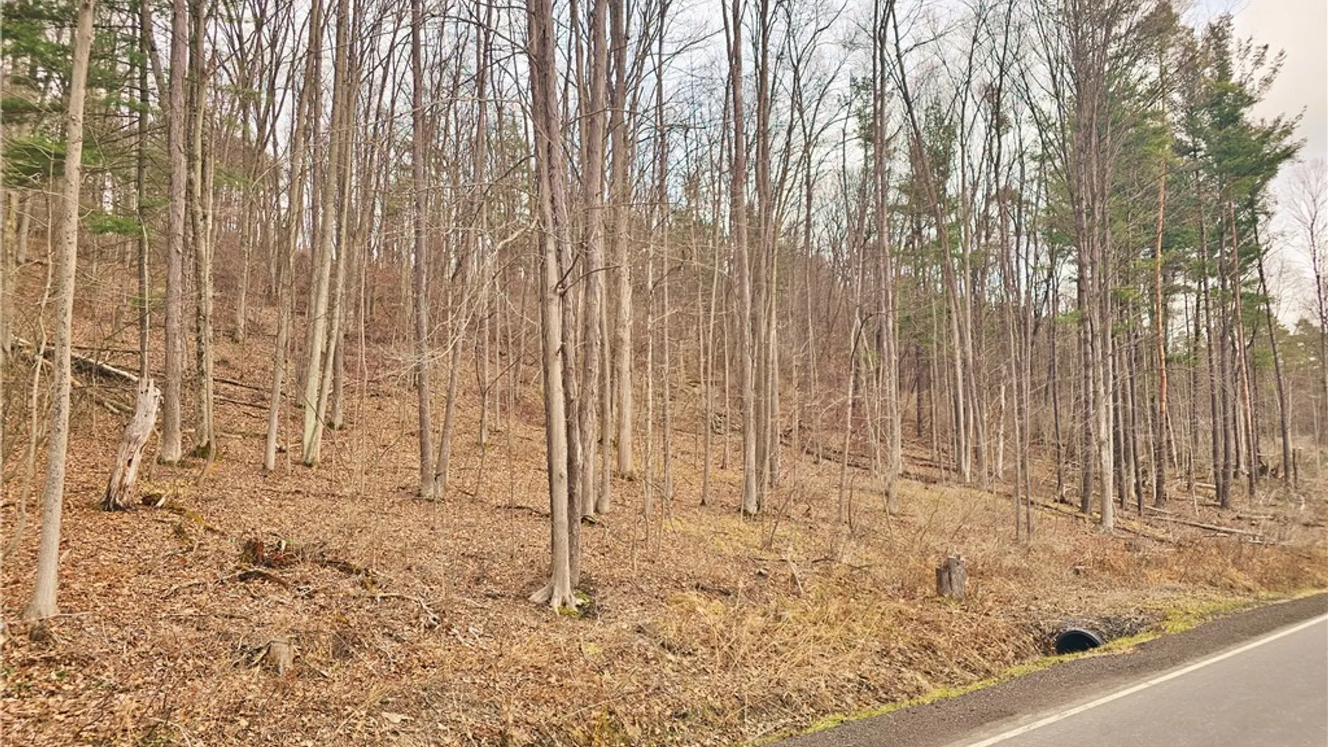 Property at 2130 Guyanoga Road, Jerusalem, NY 14527 4