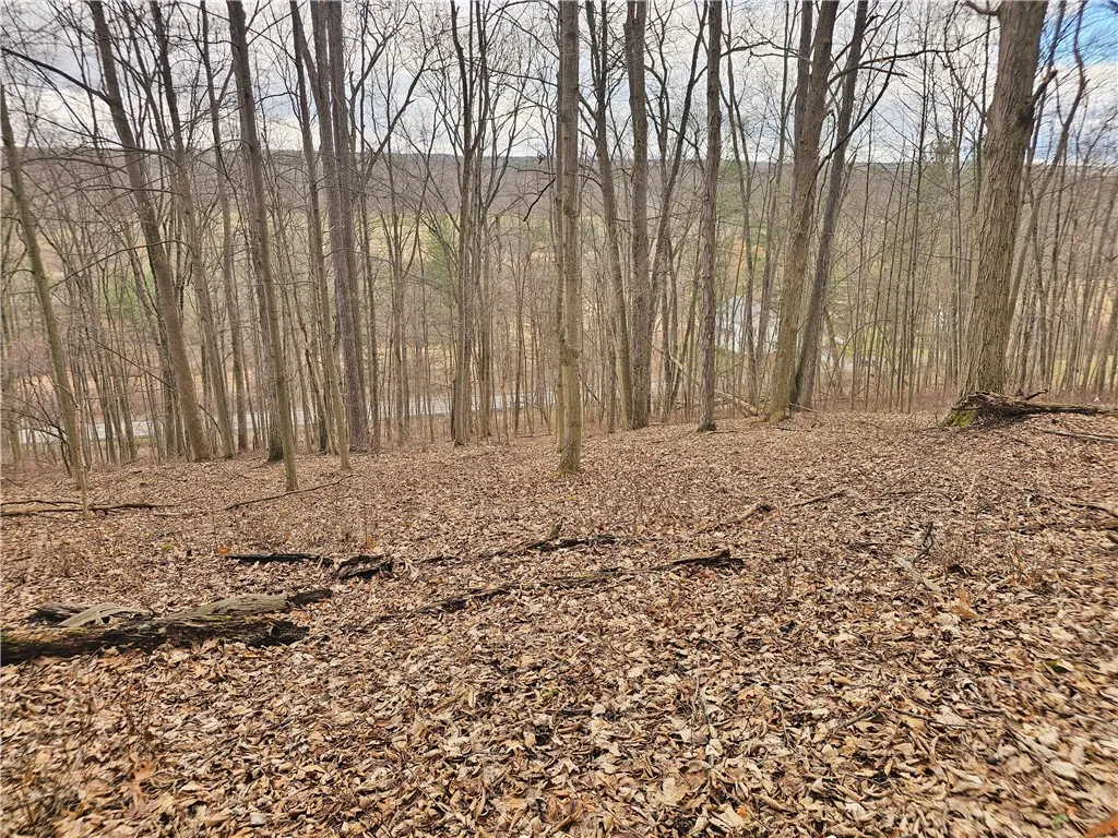 Property at 2130 Guyanoga Road, Jerusalem, NY 14527