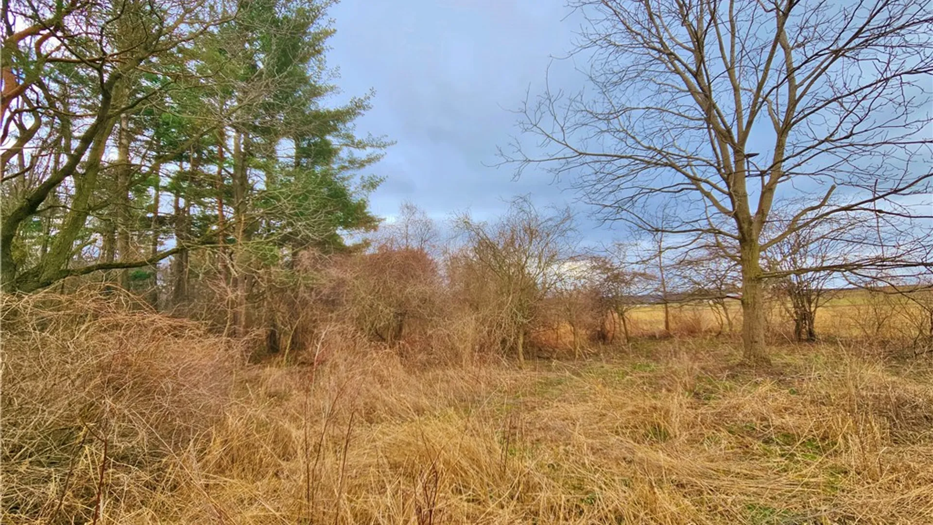 Property at 2130 Guyanoga Road, Jerusalem, NY 14527 20
