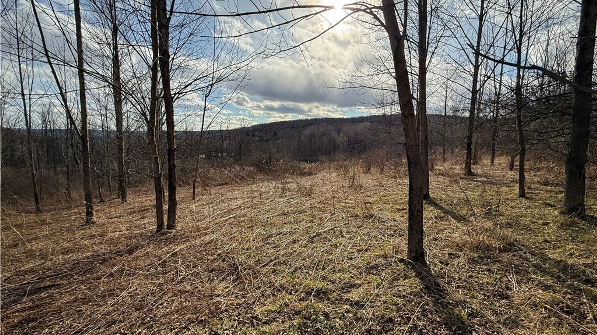 Property at Briggs Hill Road, Van Etten, NY 14889 9
