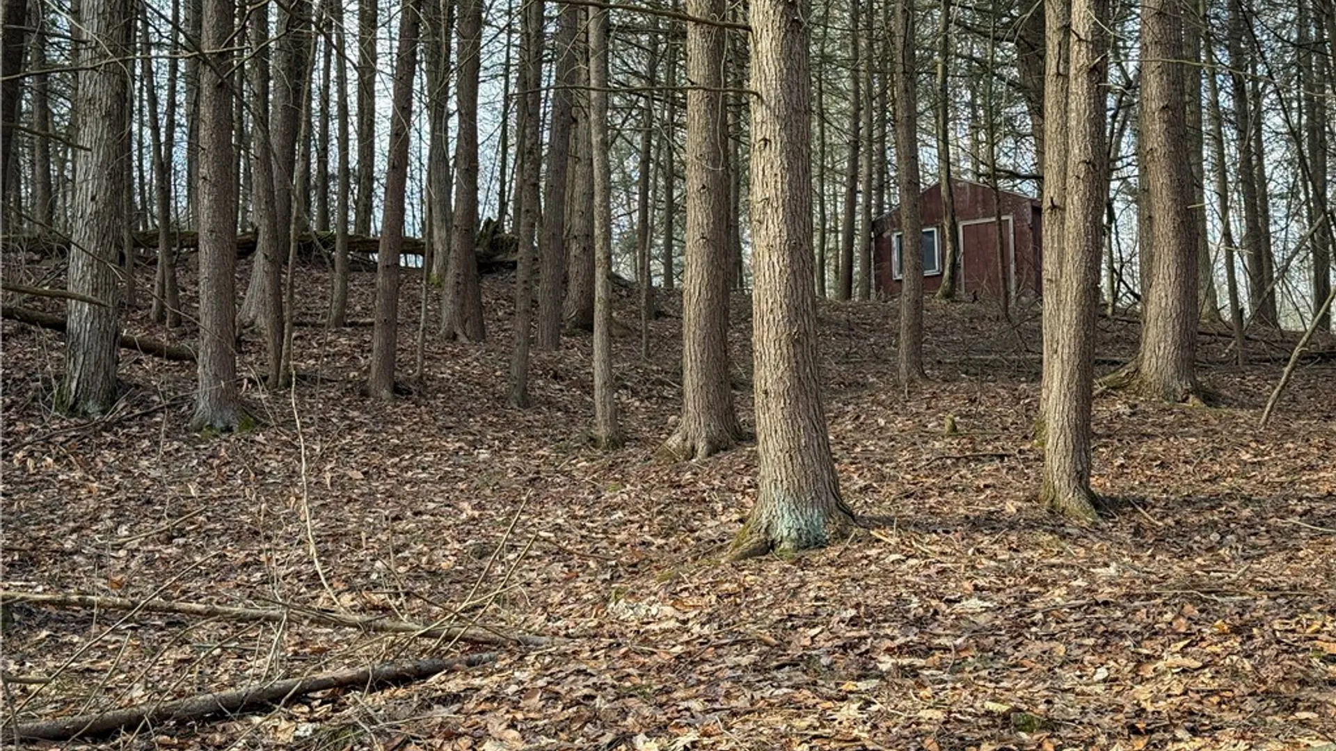 Property at Briggs Hill Road, Van Etten, NY 14889 31