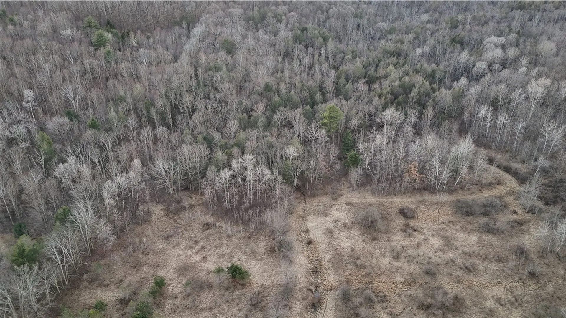 Property at Briggs Hill Road, Van Etten, NY 14889 37