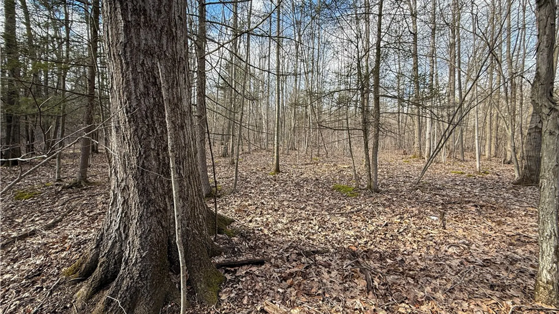 Property at Briggs Hill Road, Van Etten, NY 14889 41