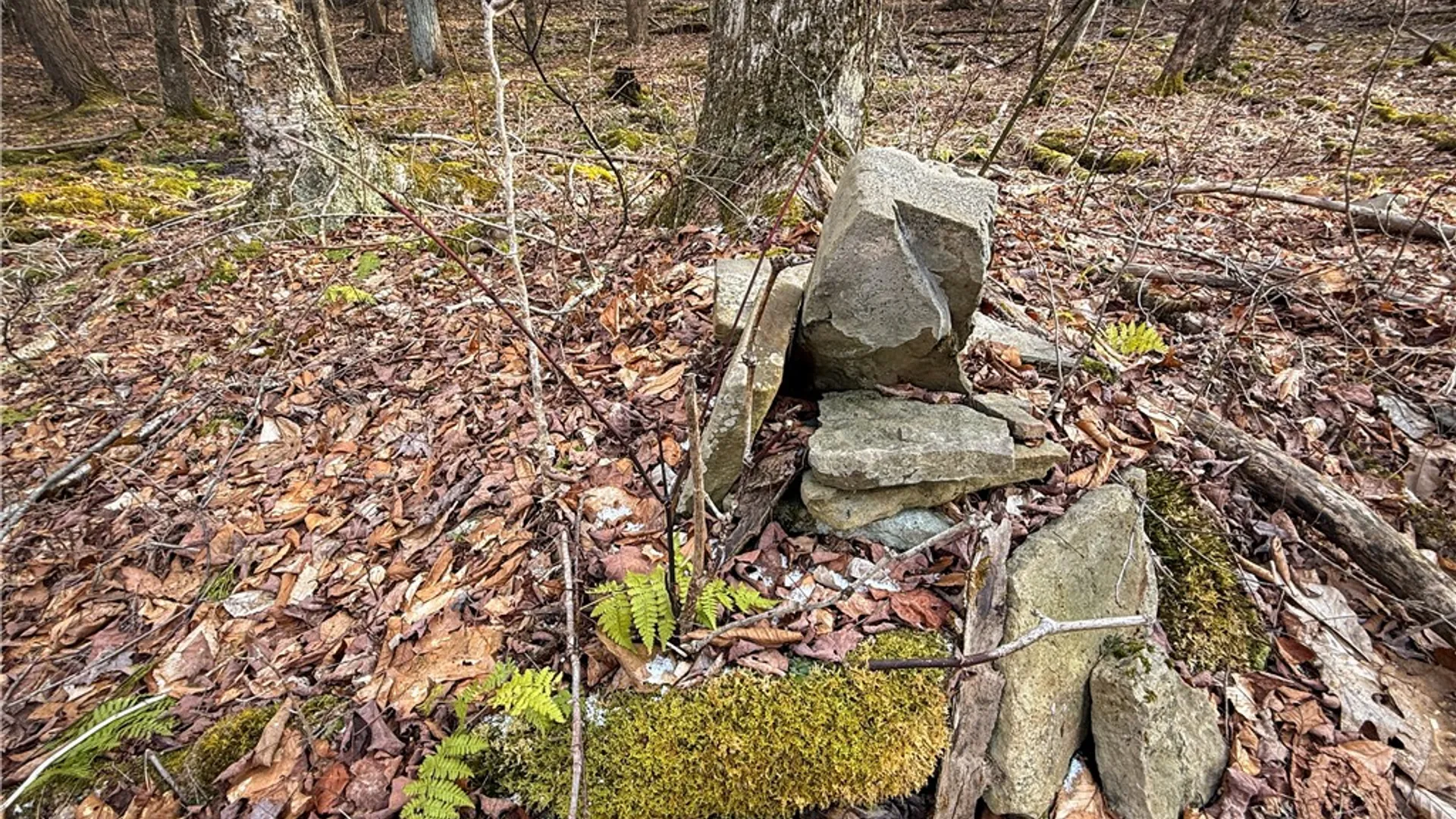 Property at Briggs Hill Road, Van Etten, NY 14889 44
