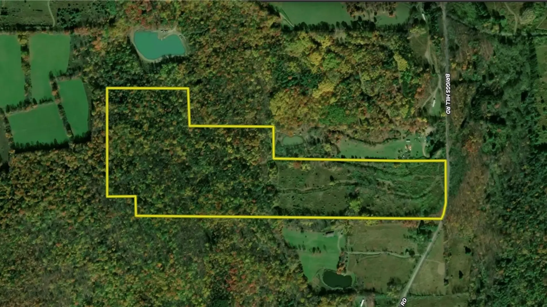 Property at Briggs Hill Road, Van Etten, NY 14889 46
