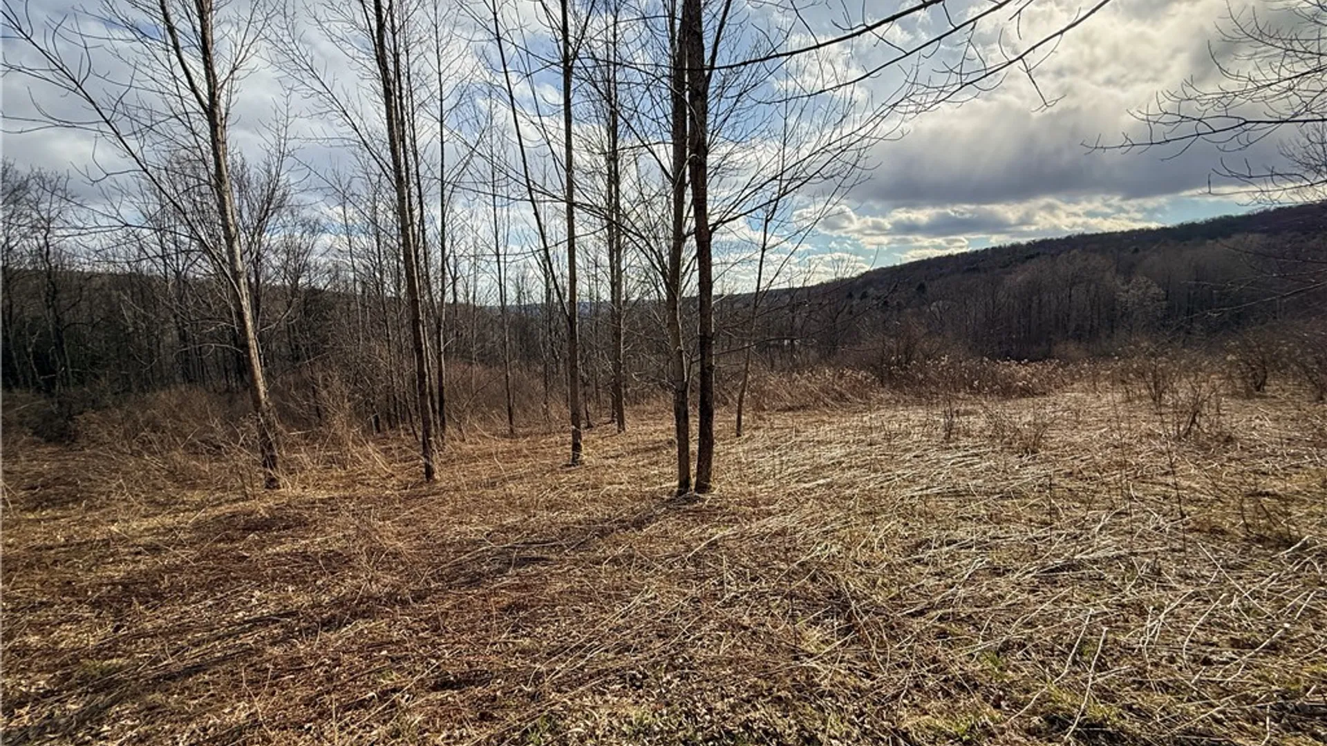 Property at Briggs Hill Road, Van Etten, NY 14889 11