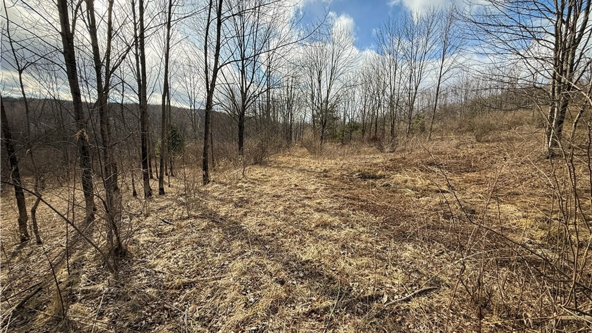Property at Briggs Hill Road, Van Etten, NY 14889 12