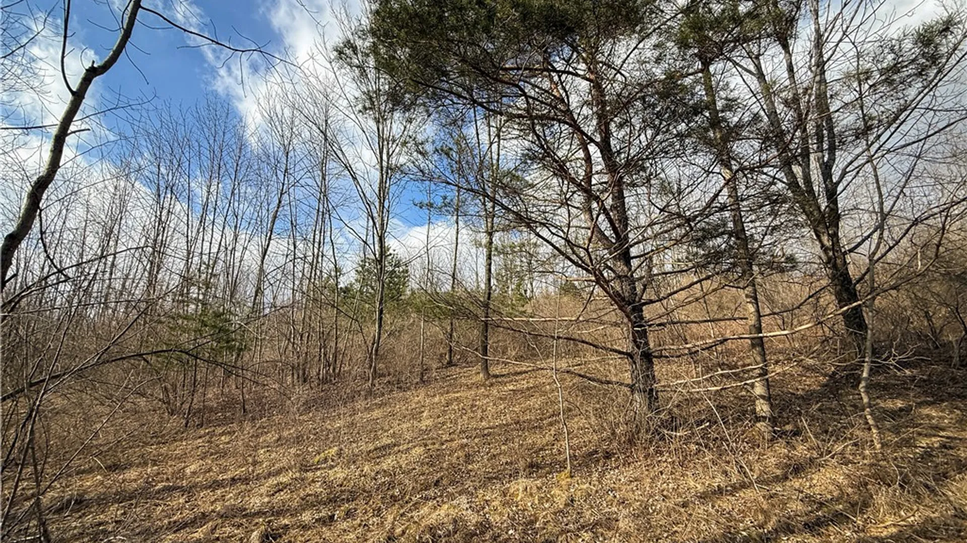Property at Briggs Hill Road, Van Etten, NY 14889 13