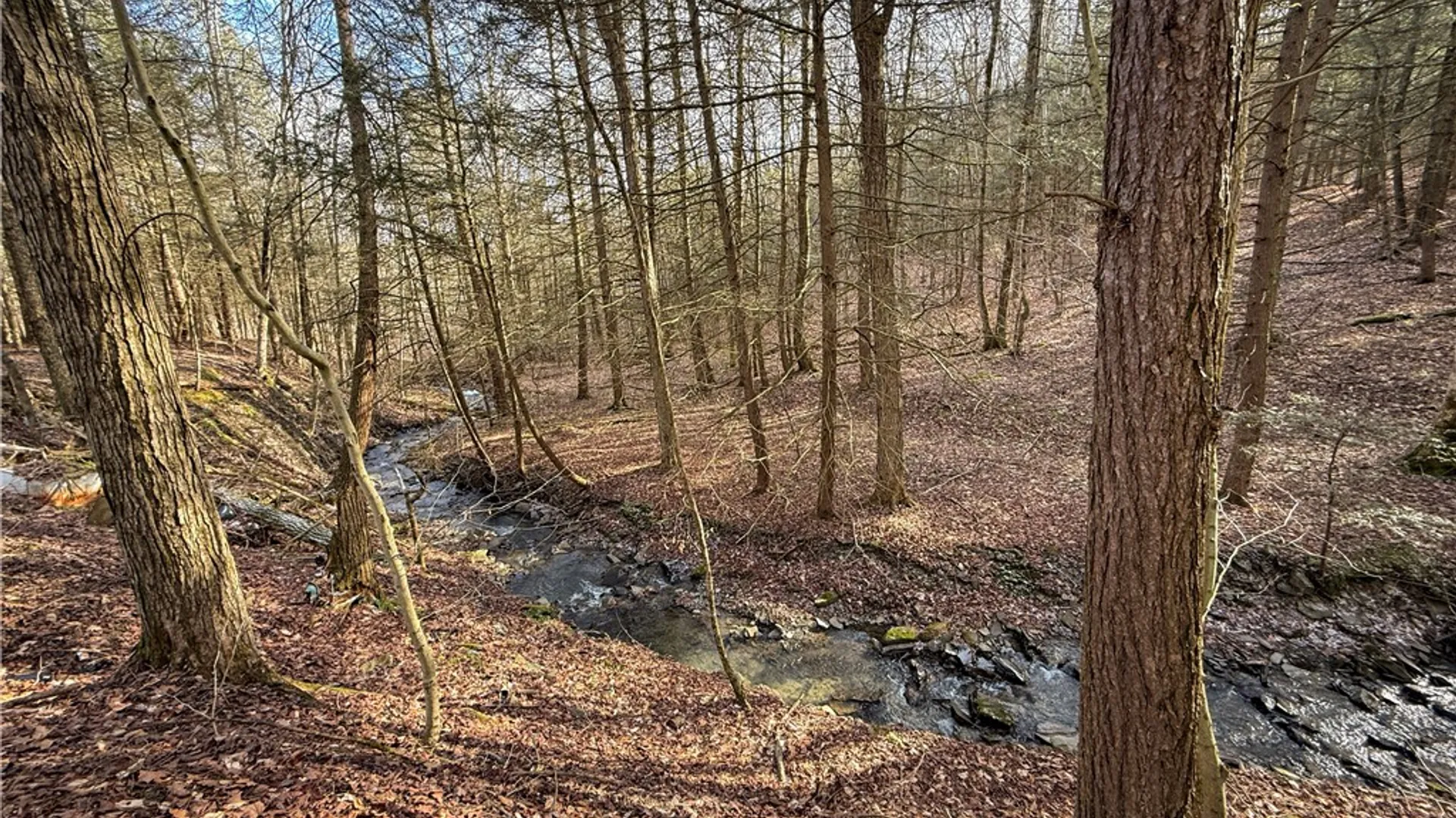 Property at Briggs Hill Road, Van Etten, NY 14889 21