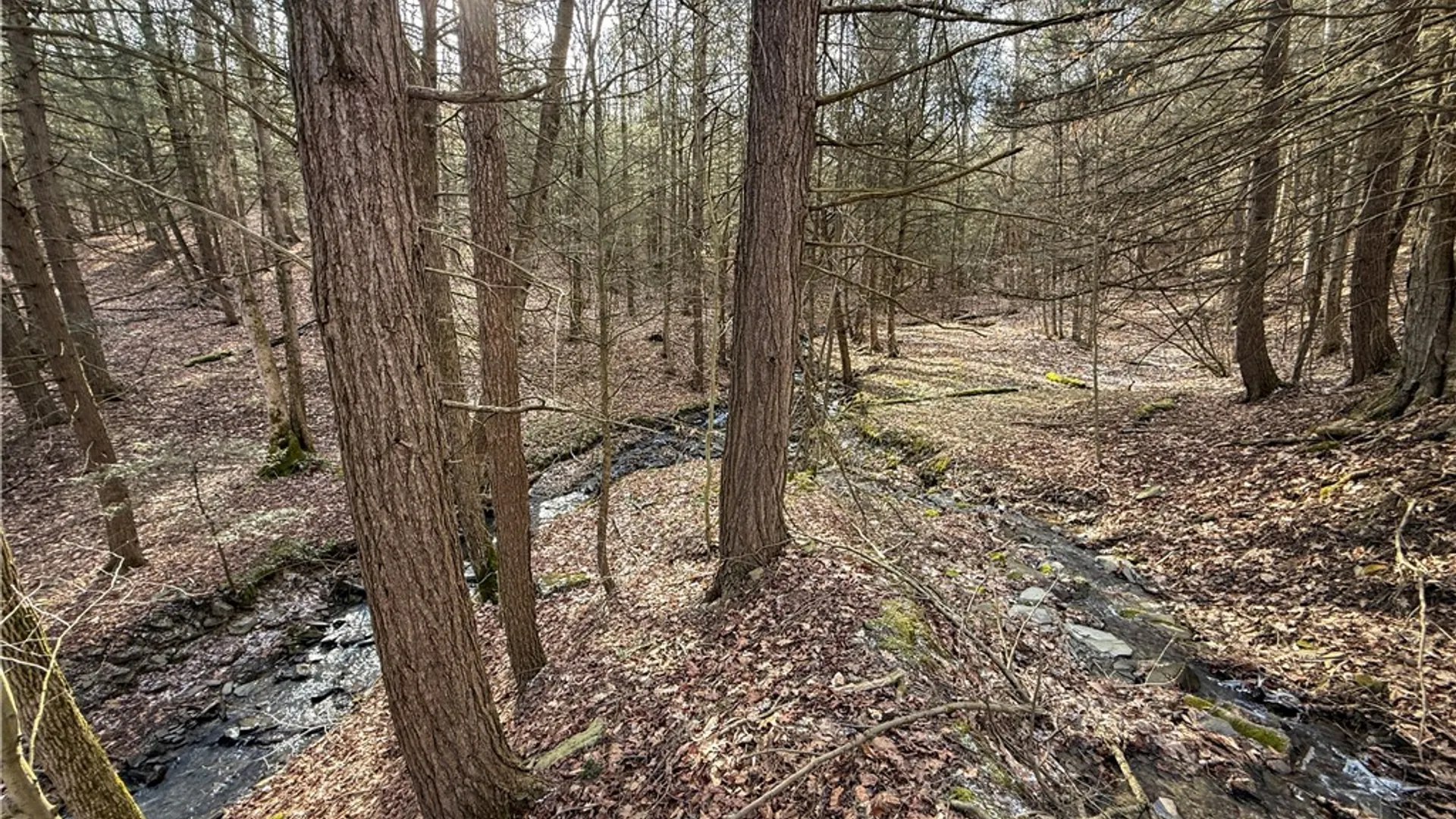 Property at Briggs Hill Road, Van Etten, NY 14889 22