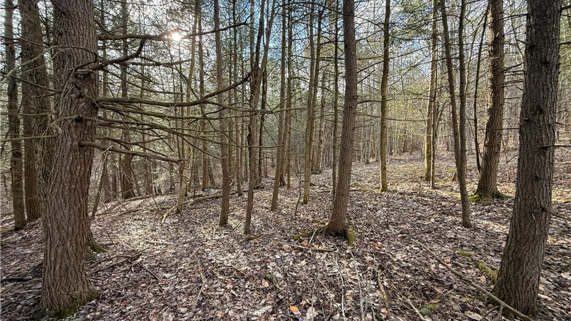 Property at Briggs Hill Road, Van Etten, NY 14889 23