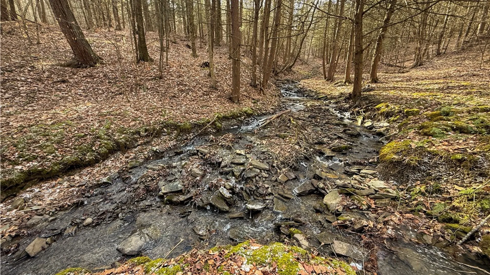 Property at Briggs Hill Road, Van Etten, NY 14889 24