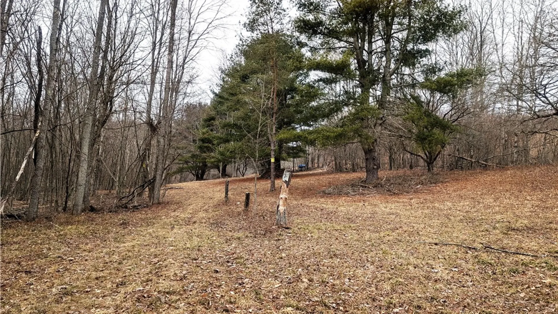 Property at 23599 Route 6, Port Allegany Boro, PA 16743 10